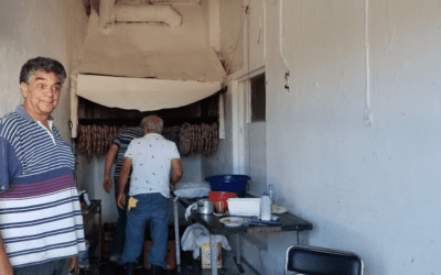 The tradition of “xoirosfagia” in Andros